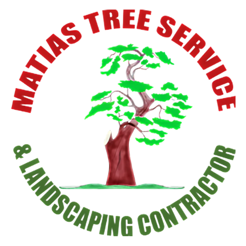 Matias Tree and Landscape